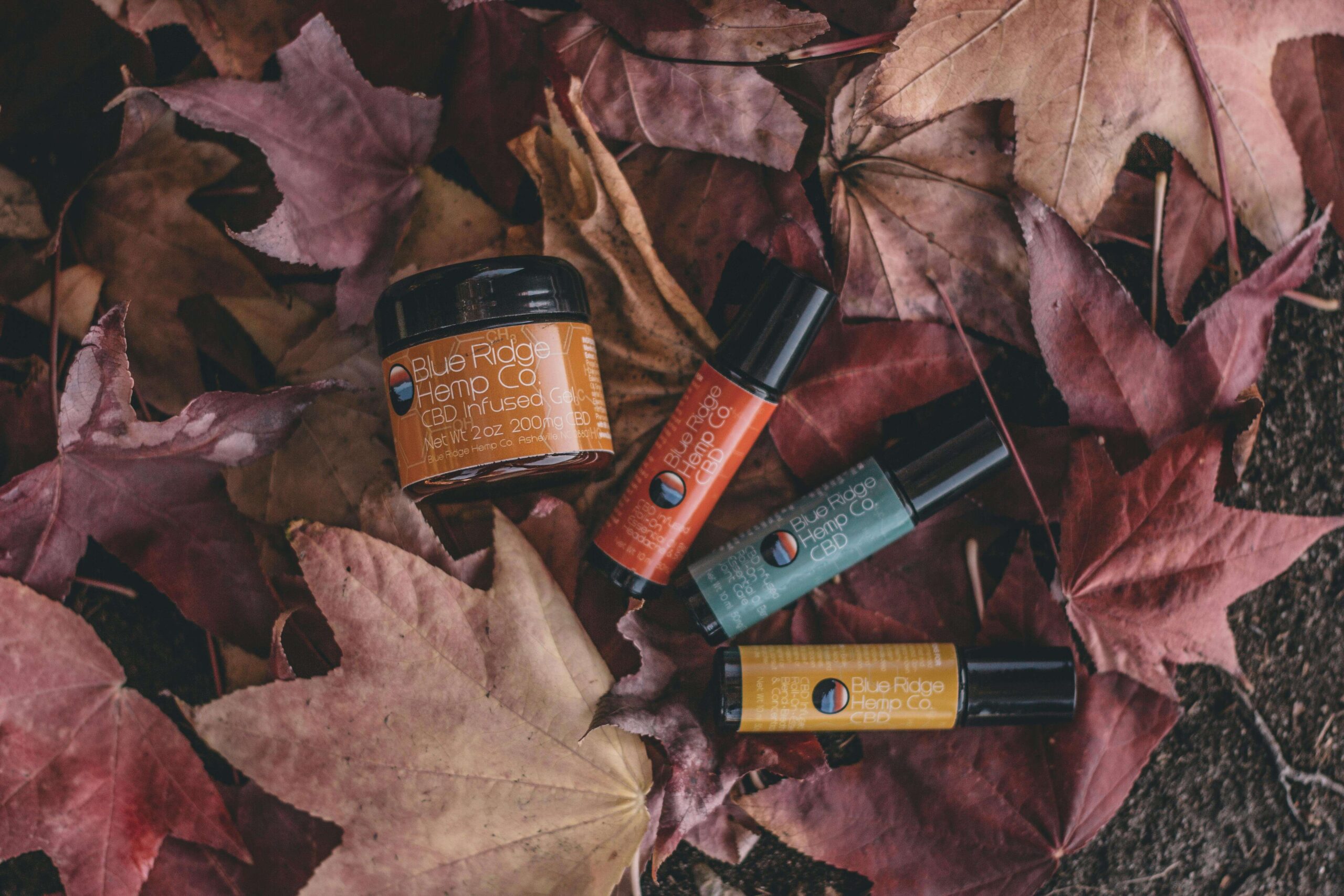 Cosmetic products laid on a pile of dried leaves