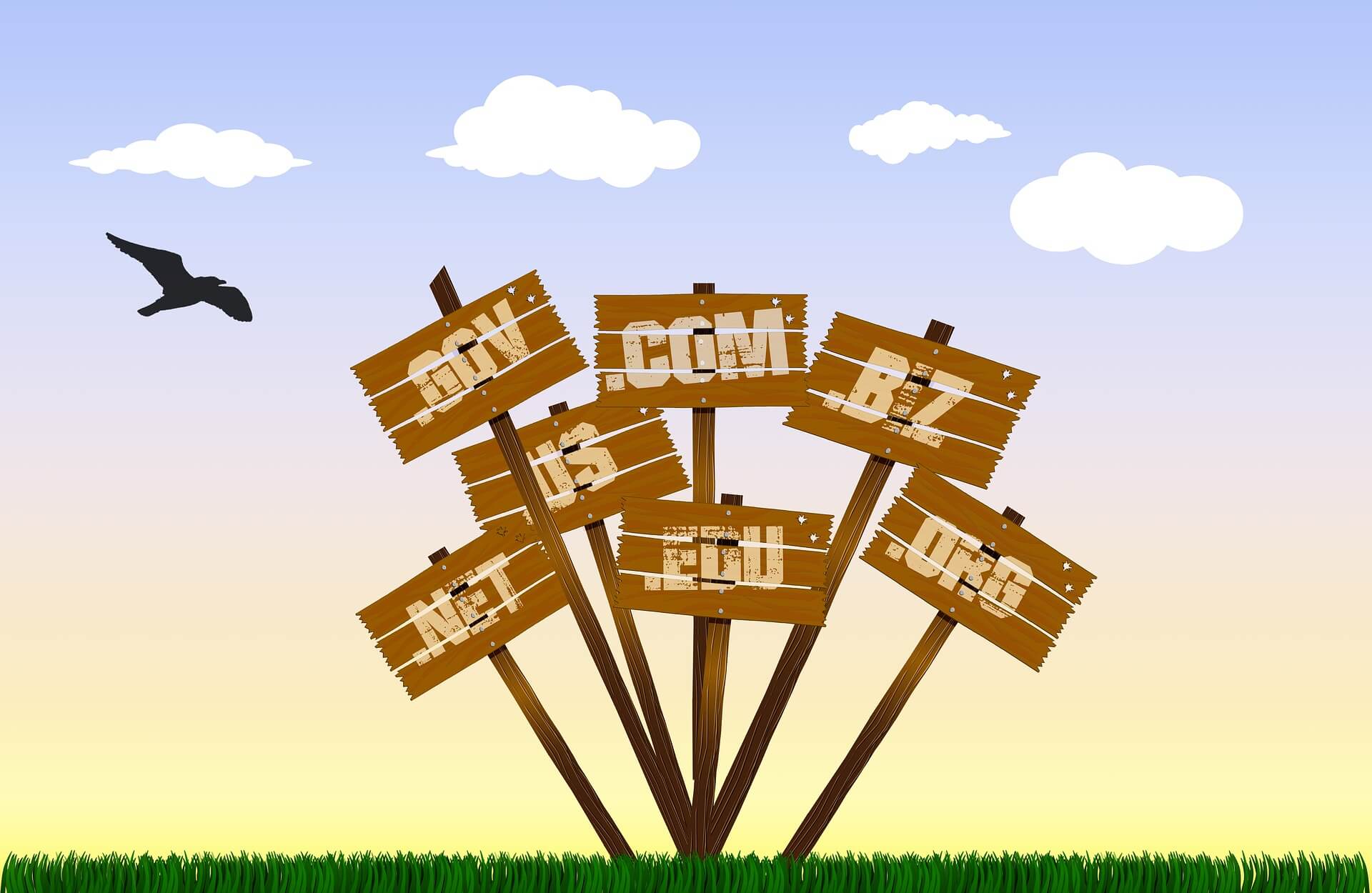 Different types of website domains