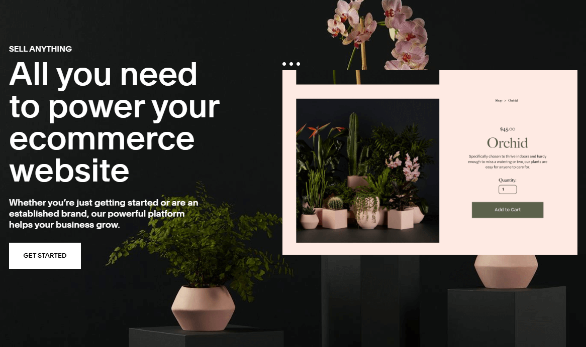 Squarespace 5